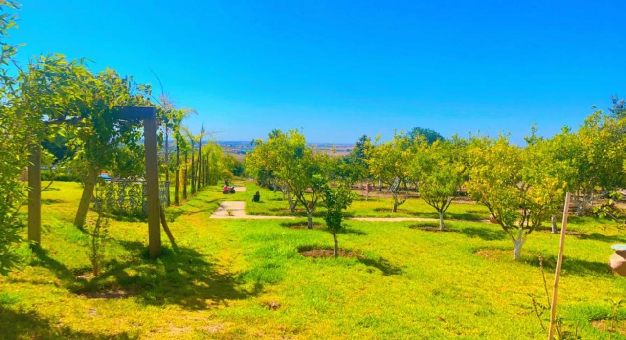 Palais D'Hotes Salé Ngoại thất bức ảnh